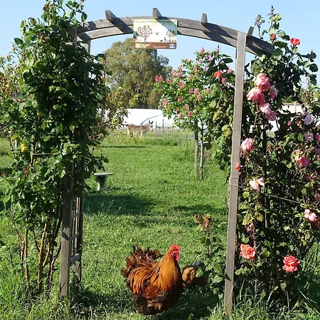 Bed & Breakfast Du Pagoulin - D'hotes 3*
