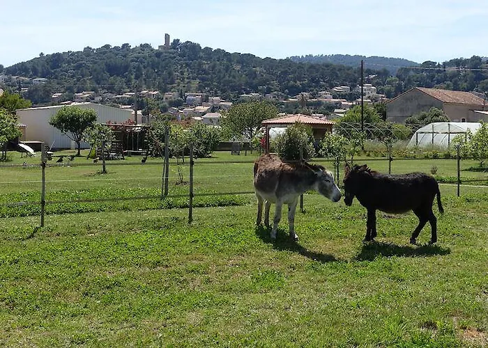 Du Pagoulin - D'hotes Bed & Breakfast