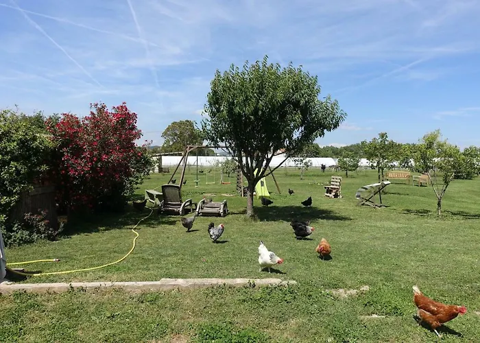 Du Pagoulin - D'hotes Hyères