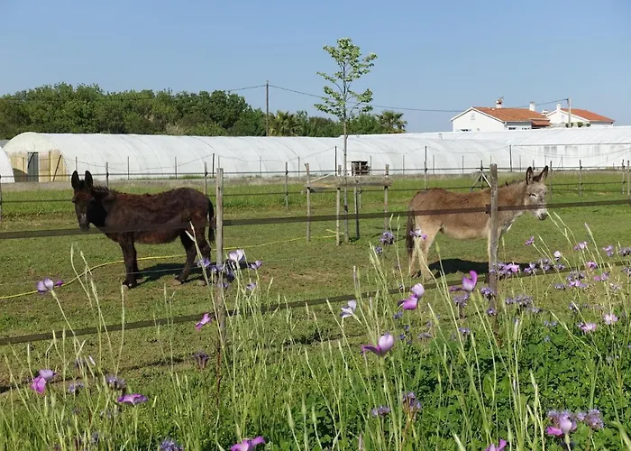 Du Pagoulin - D'hotes 3*