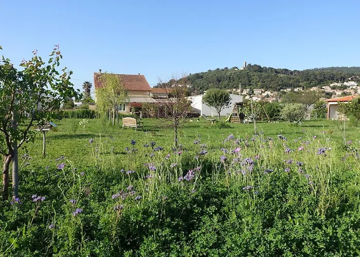 Bed & Breakfast Du Pagoulin - D'hotes