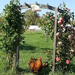 Bed & Breakfast Du Pagoulin - D'hotes 3*