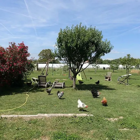 Du Pagoulin - D'hôtes Hyères