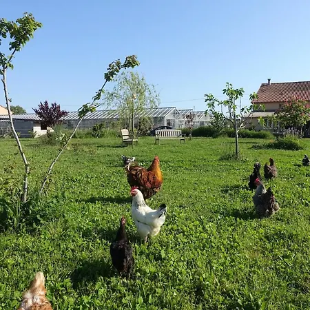 Du Pagoulin - D'hôtes Alojamento de Acomodação e Pequeno-almoço 3*