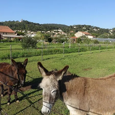 Du Pagoulin - D'hôtes Hyères