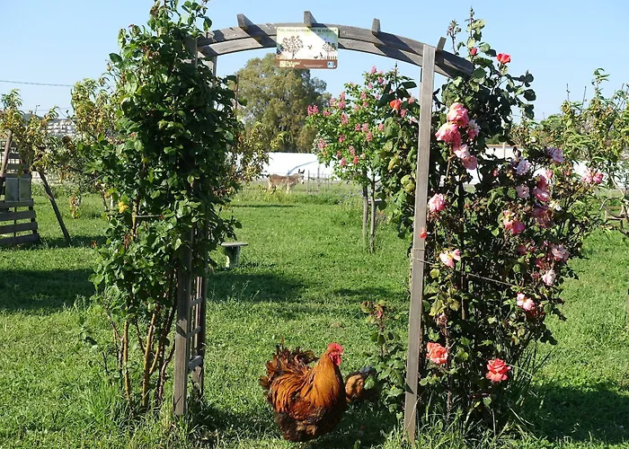 Bed & Breakfast Du Pagoulin - D'hotes 3*