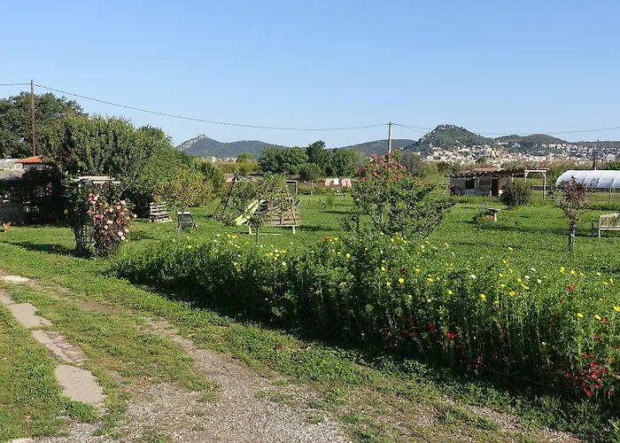 Bed & Breakfast Du Pagoulin - D'hotes 3*