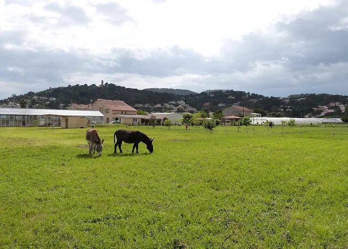 Du Pagoulin - D'hotes Bed & Breakfast 3*