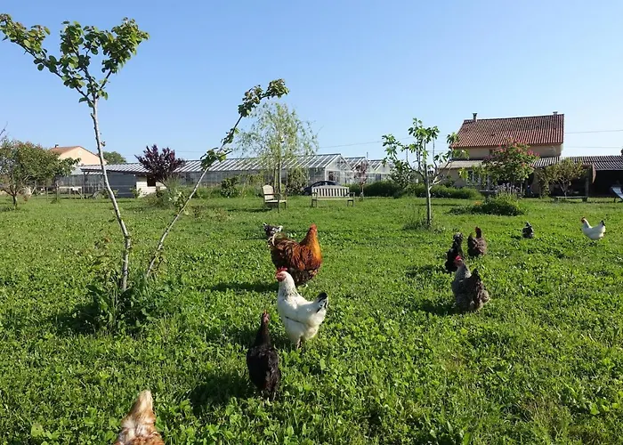 Du Pagoulin - D'hotes Bed & Breakfast 3*