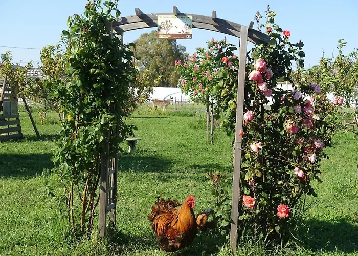 Du Pagoulin - D'hotes